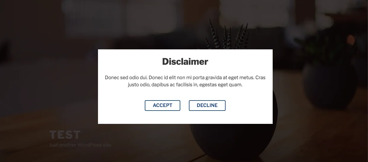 Mostrare un disclaimer informativo all’accesso