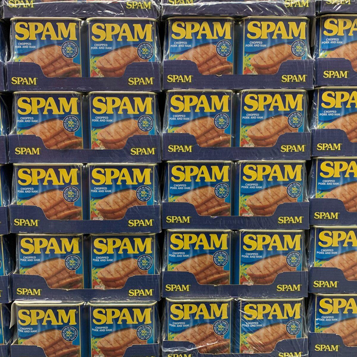Come Bloccare lo Spam su WordPress: Plugin e Soluzioni Avanzate