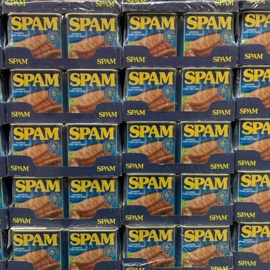Come Bloccare lo Spam su WordPress
